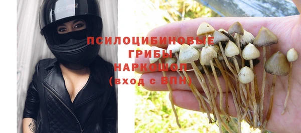 соль ск Аркадак