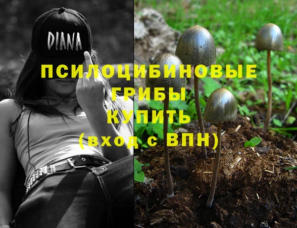 метадон Армянск